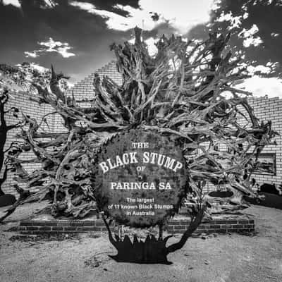 The Black Stump Paringa, South Australia, Australia