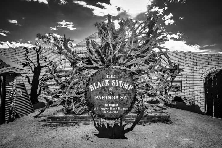 The Black Stump Paringa, South Australia