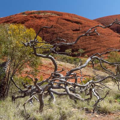 Valley of the Winds, Australia