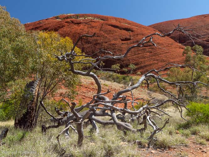 Valley of the Winds