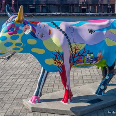 Ventspils Parade Cows, Latvia