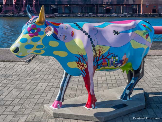 Ventspils Parade Cows
