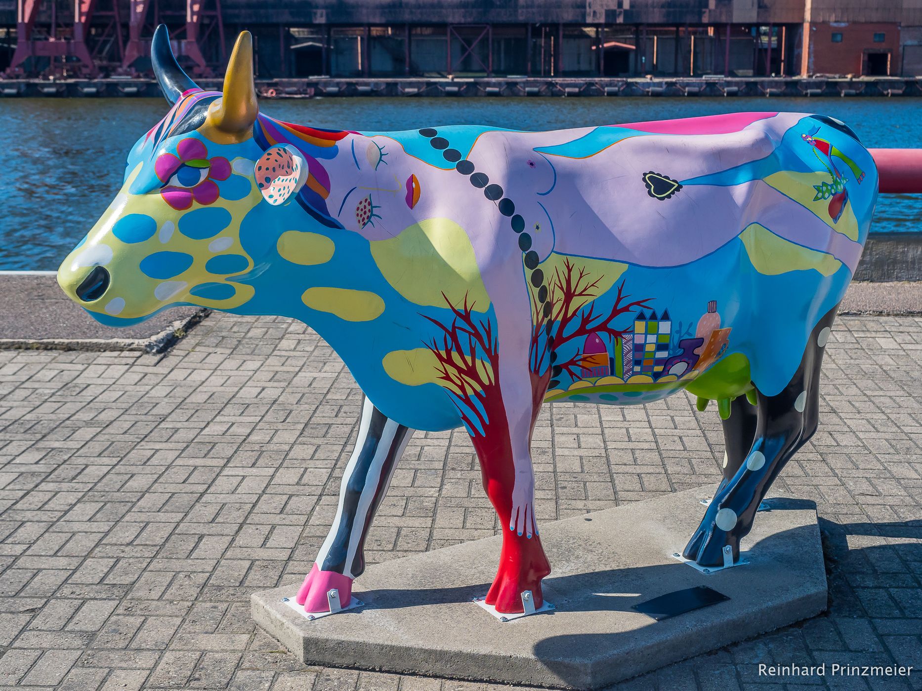 Ventspils Parade Cows, Latvia