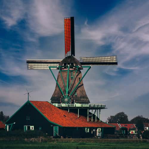 Verfmolen de kat