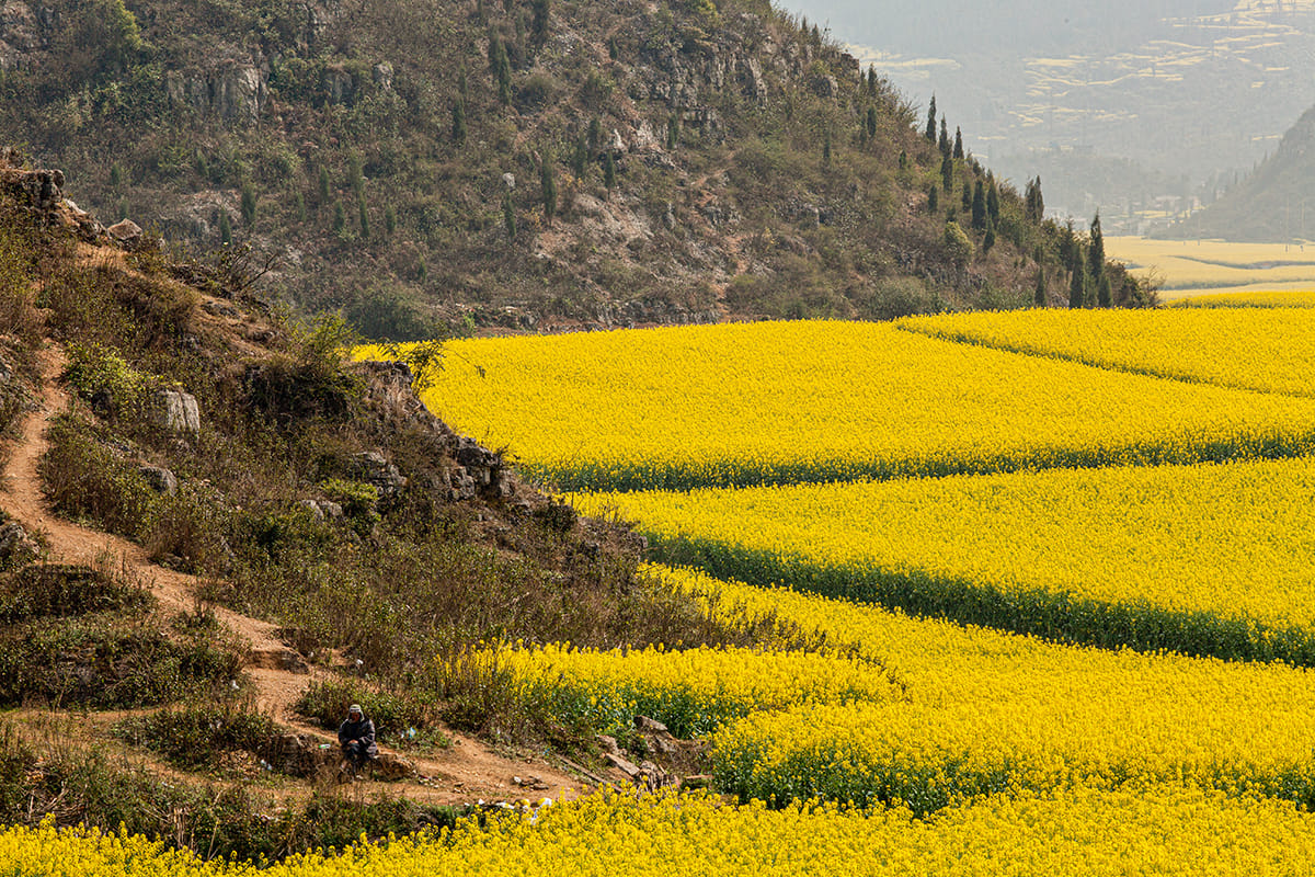 View down to Luoping County, China