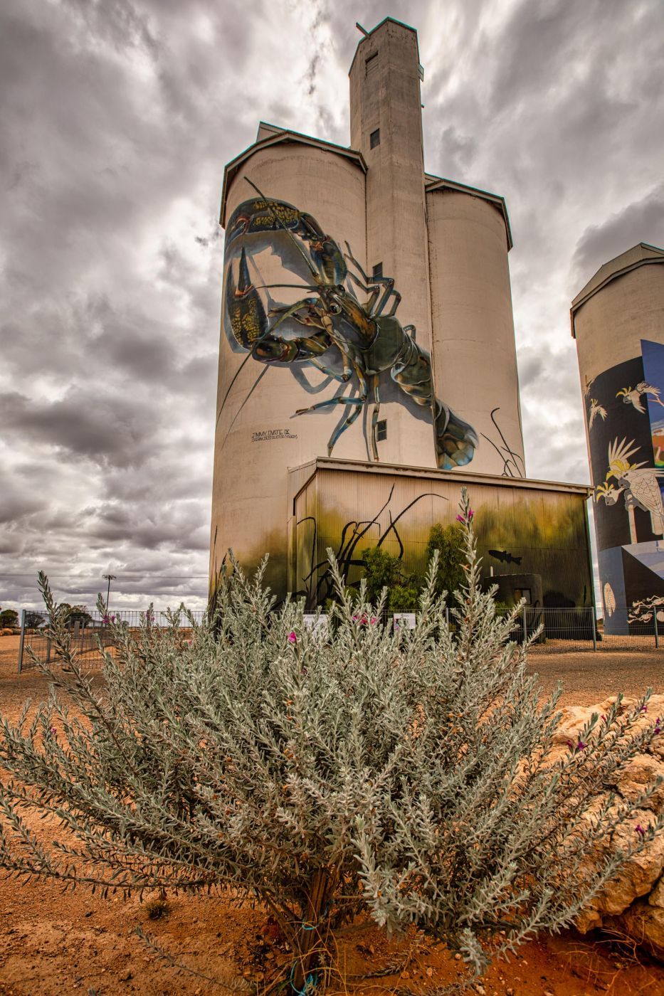 Waikerie Silo Art, Australia