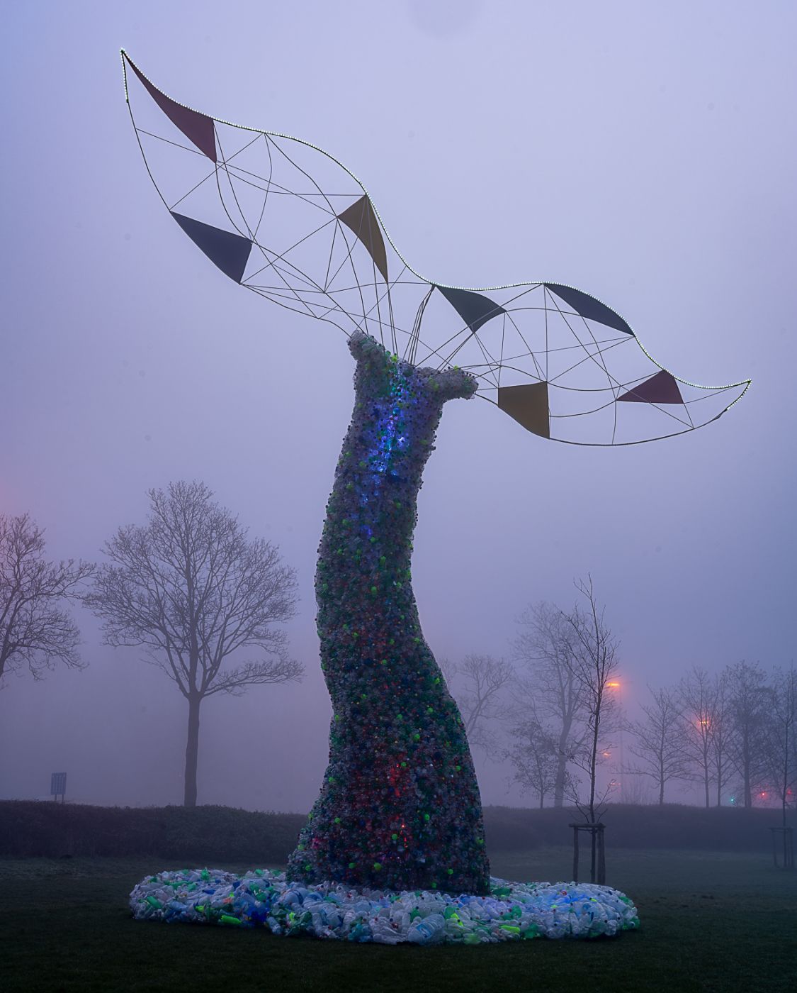 Walvisstaart, Belgium