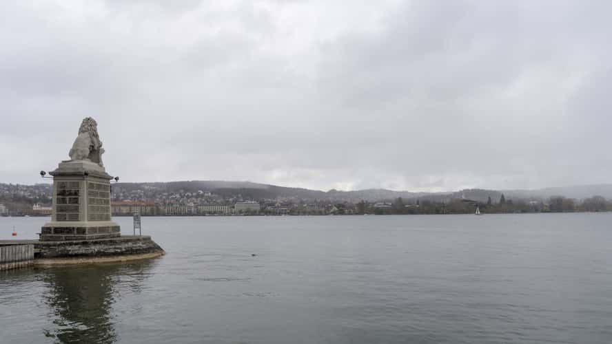 Züri Leu, Zürich