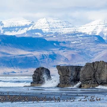 Álftafjörður (Eastfjords), Iceland