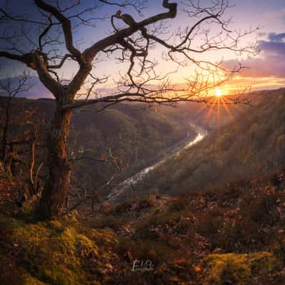 Aussichtspunkt Wolfslei, Germany