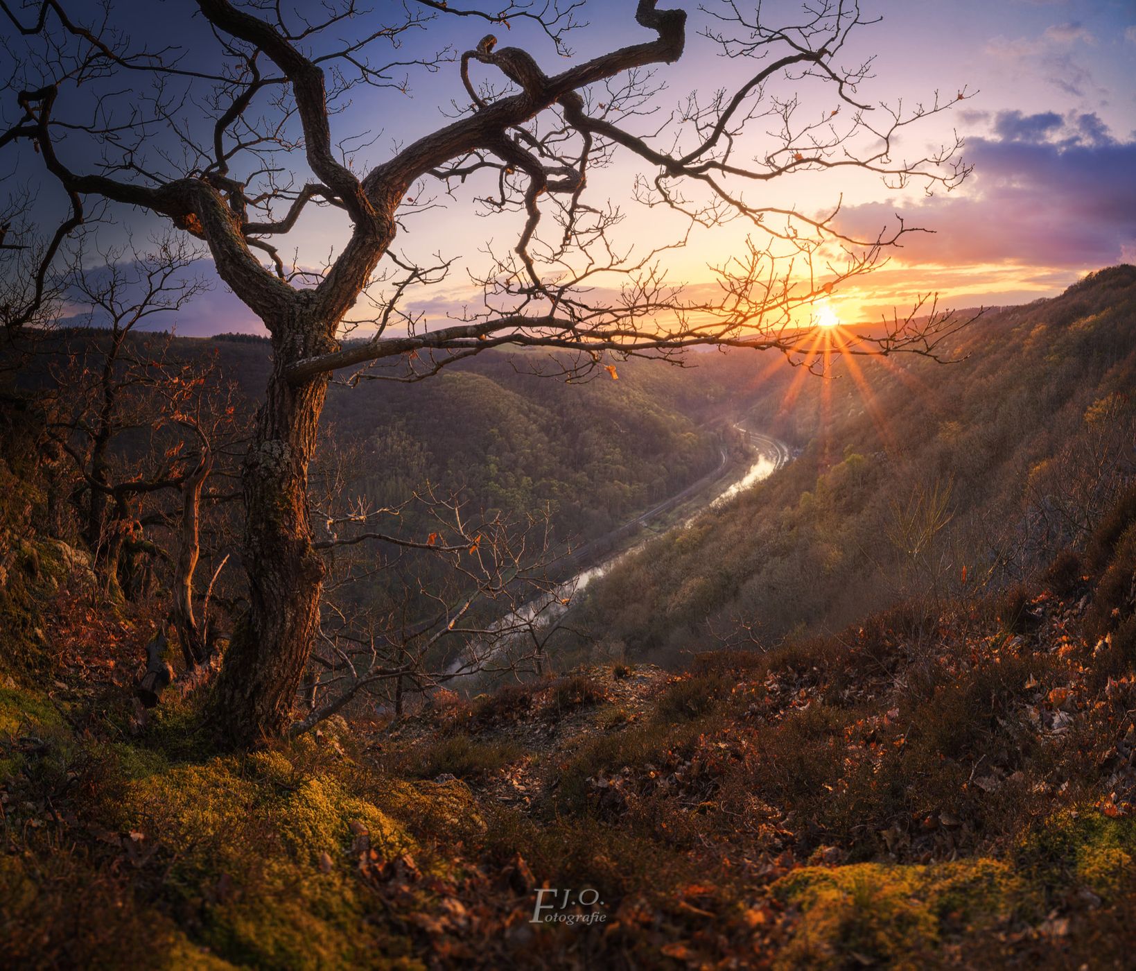 Aussichtspunkt Wolfslei, Germany