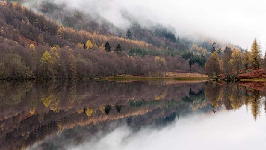 Autumnal Reflections