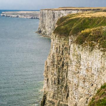 Bempton Cliffs, United Kingdom