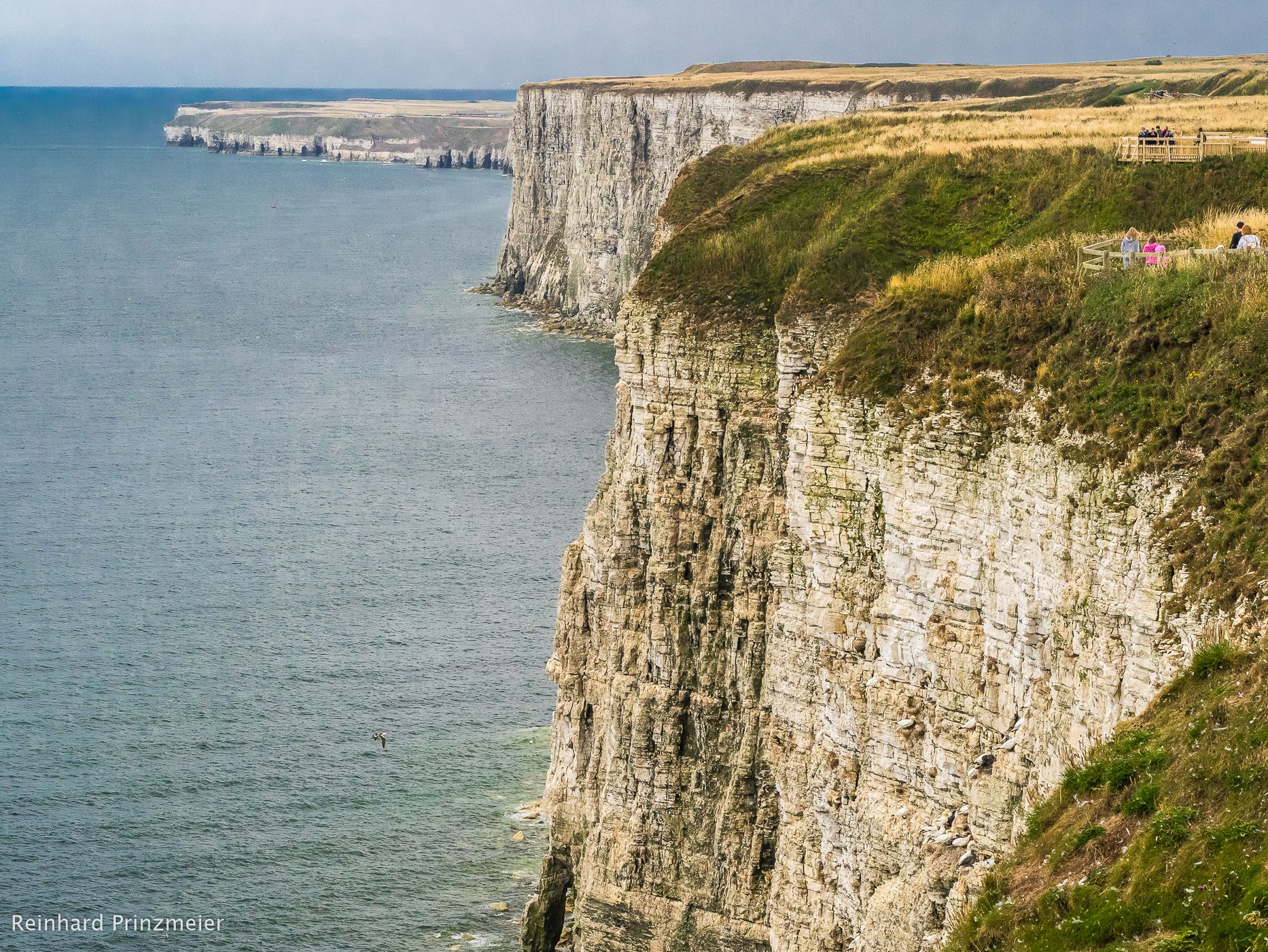 Bempton Cliffs, United Kingdom