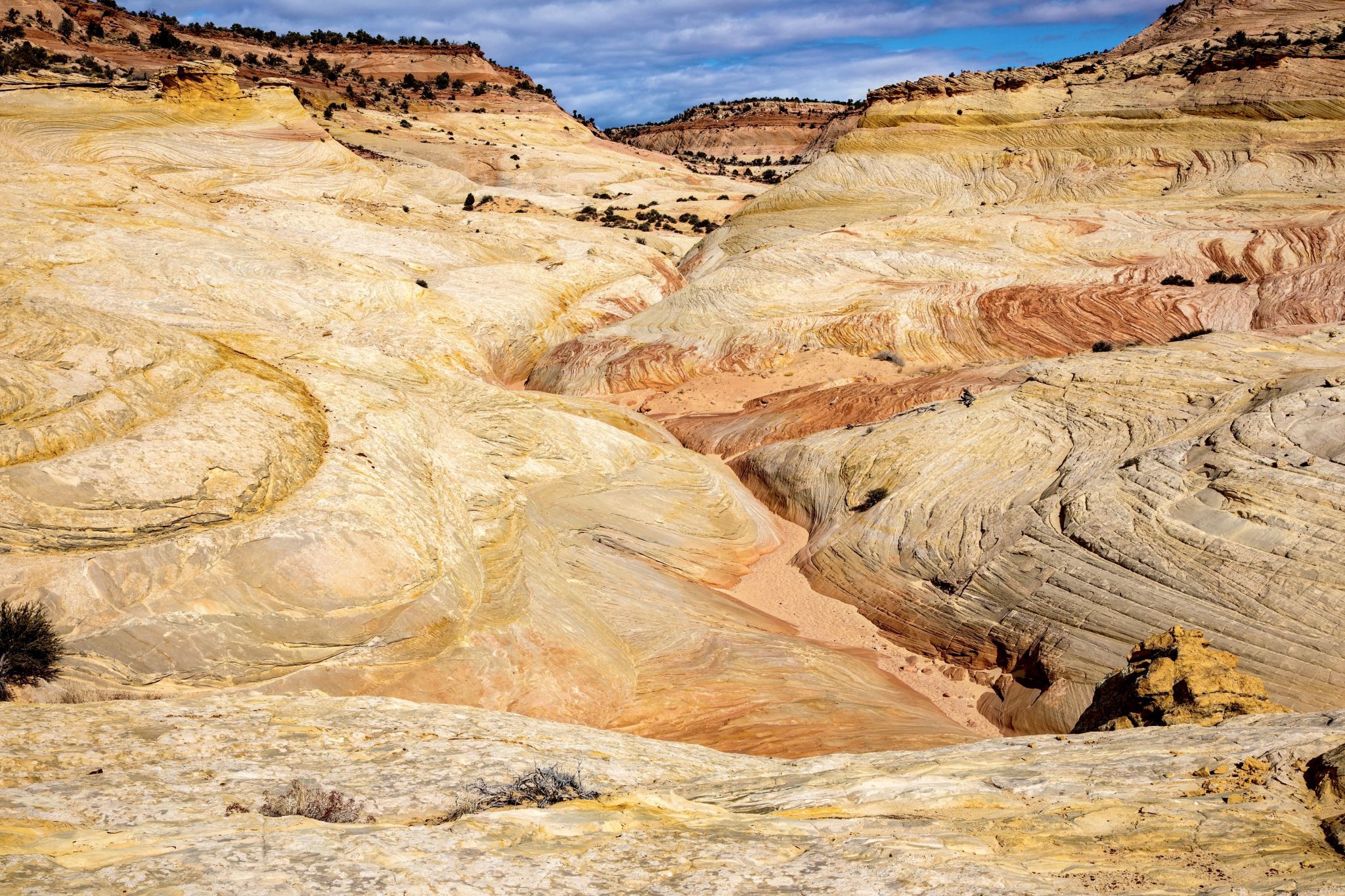 Bighorn Canyon, USA