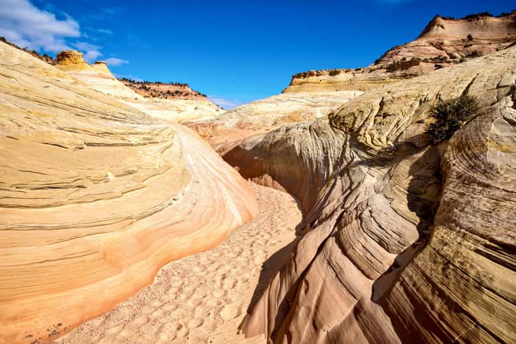 Bighorn Canyon