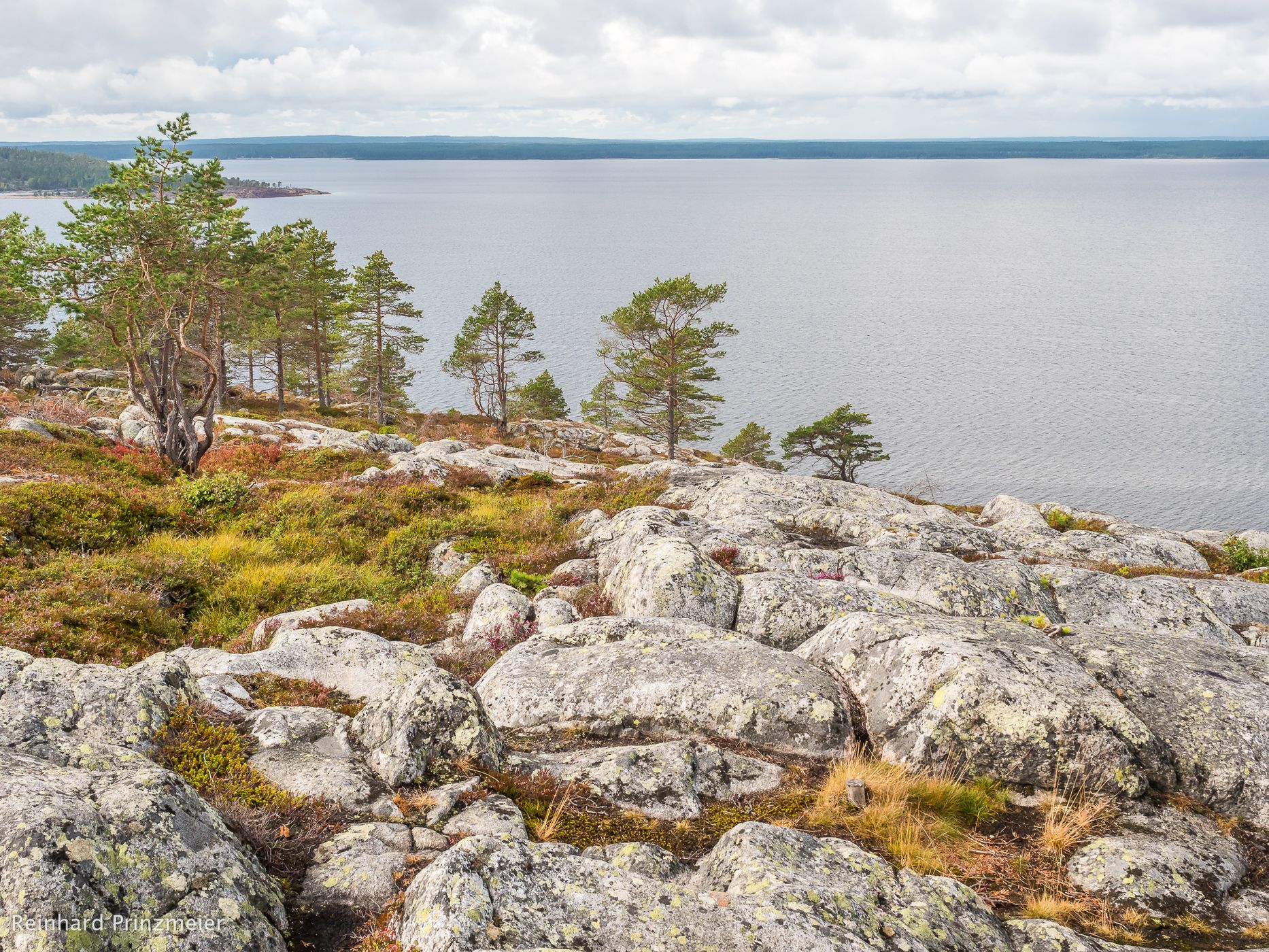Bjüröklubb, Sweden