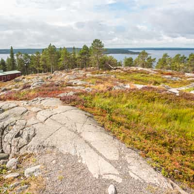 Bjüröklubb, Sweden