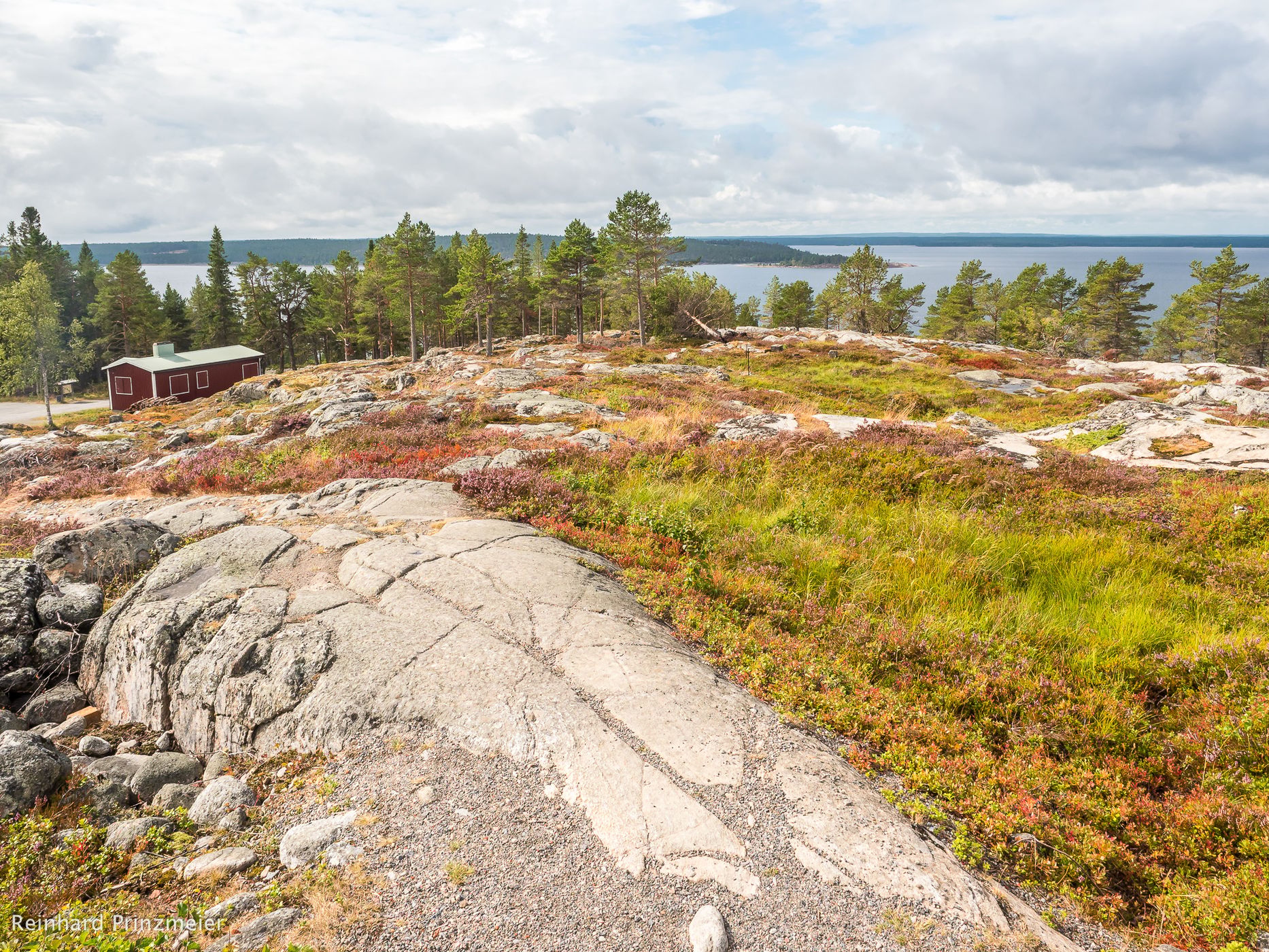 Bjüröklubb, Sweden