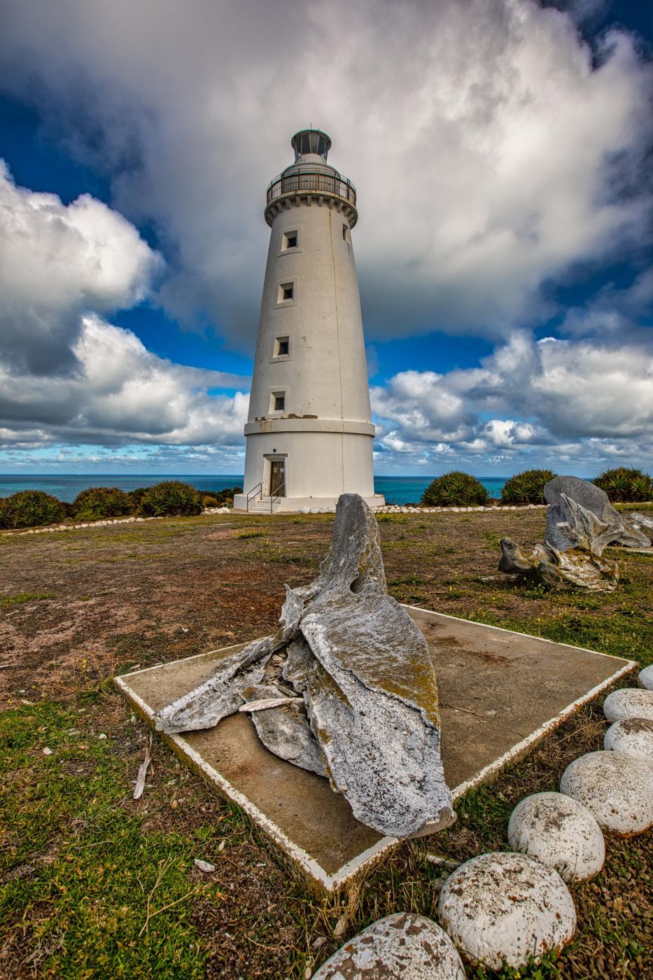 Cape Willoughby Lighthouse Whale bones, Kangaroo Island, SA, Australia