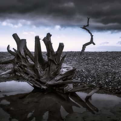 Covehithe Beach, United Kingdom