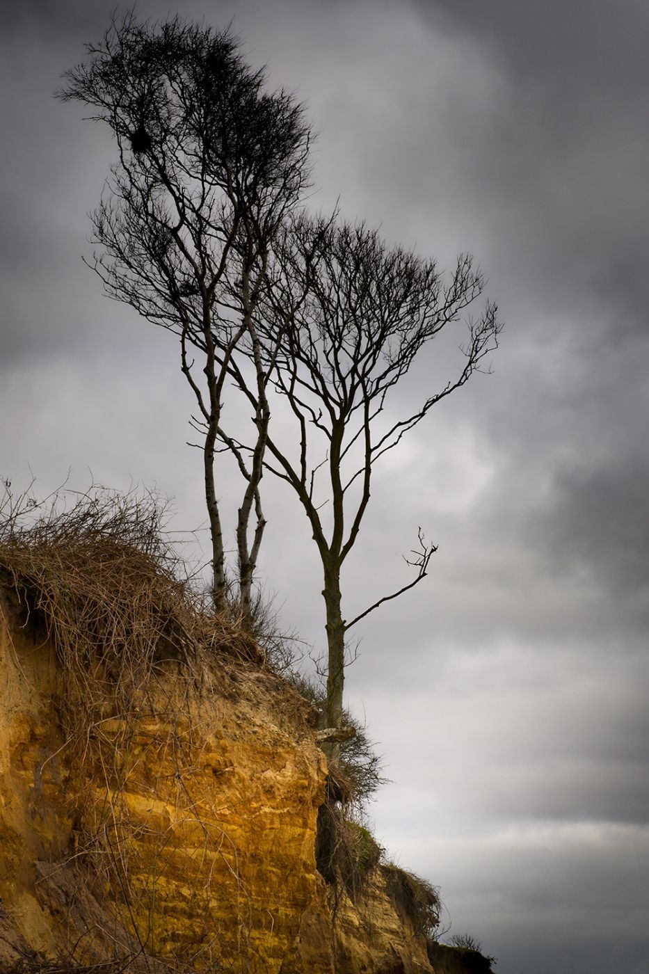 Covehithe Beach, United Kingdom