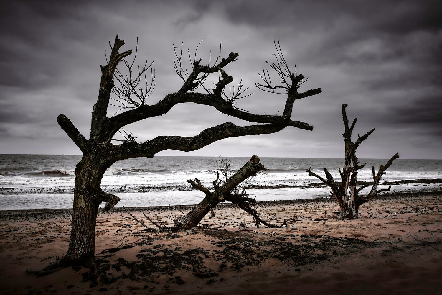 Covehithe Beach, United Kingdom