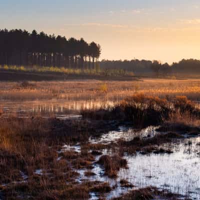 De Teut Naturereserve, Belgium