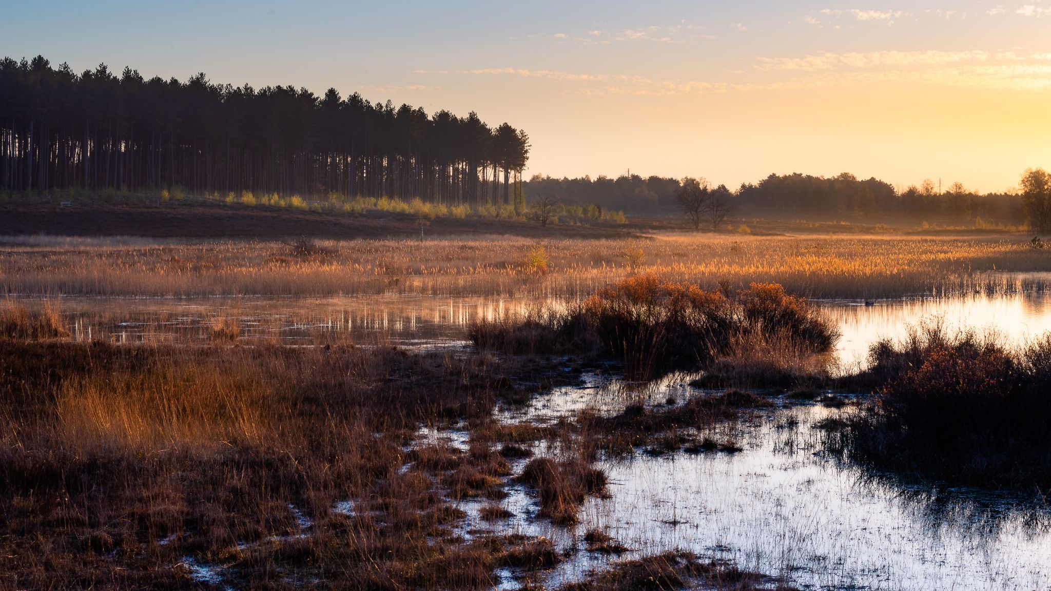 De Teut Naturereserve, Belgium