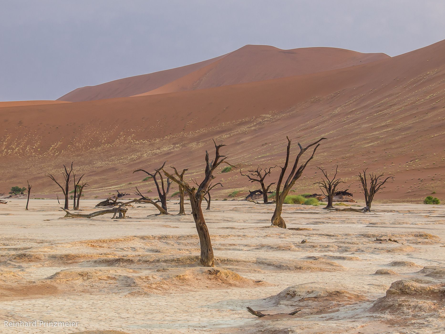Deadvlei, Sossusvlei, Namibia