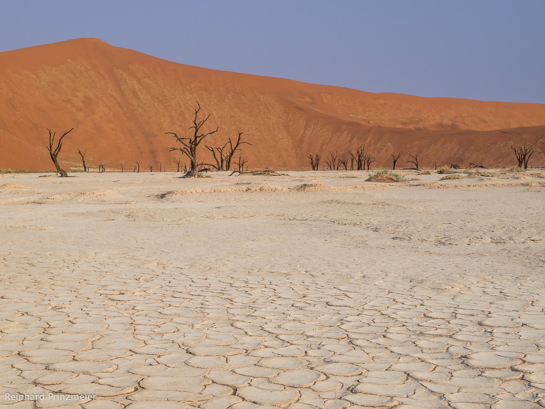 Deadvlei, Sossusvlei, Namibia