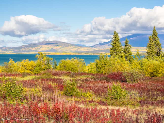 Dezadeash Lake