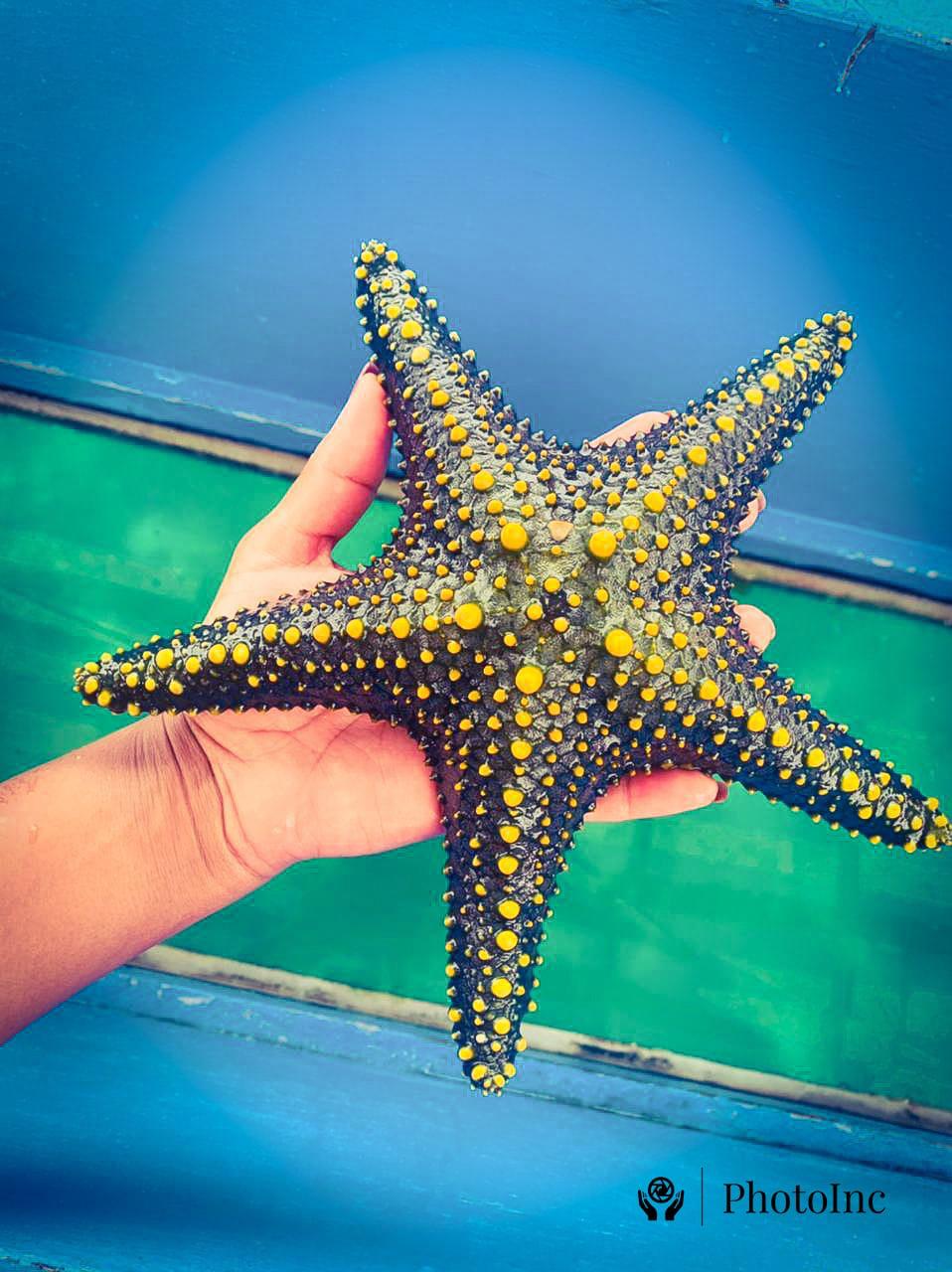 Diani Beach, Kenya