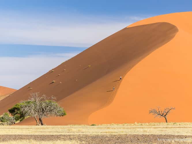 Dune 45
