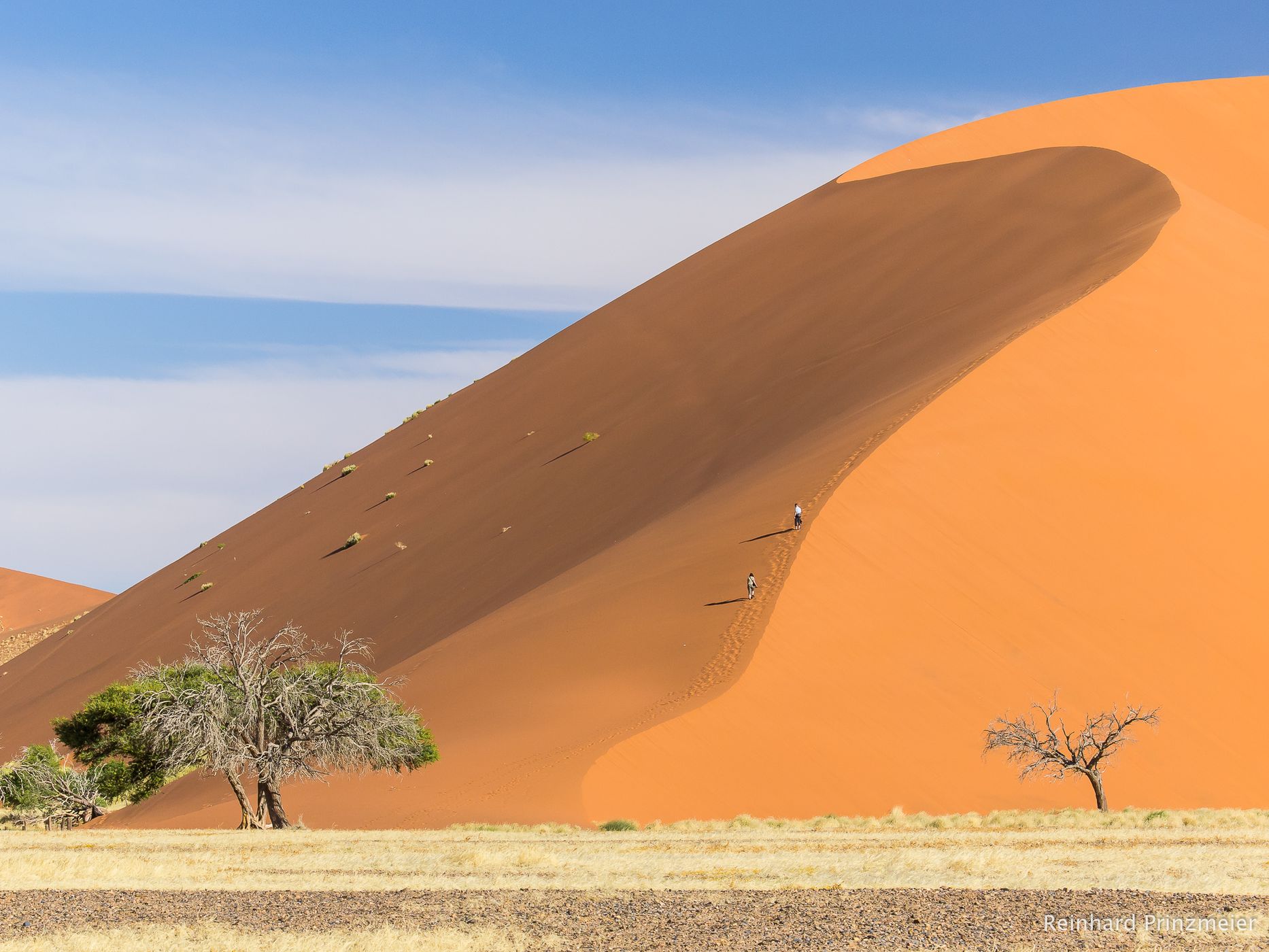 Dune 45, Namibia