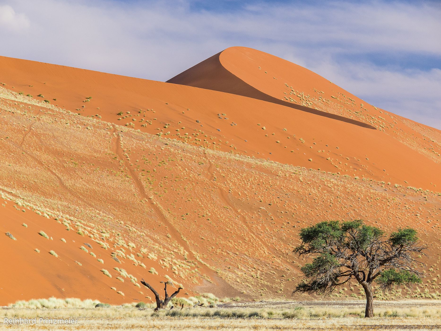 Dune 45, Namibia