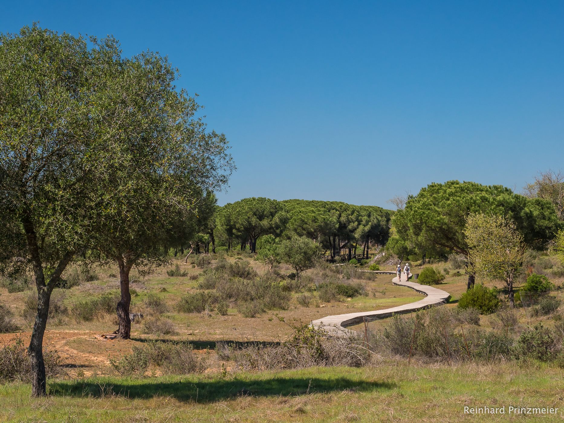 El Acebuche, Spain