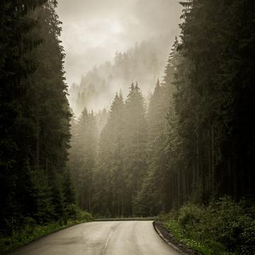Foggy Road, Ukraine