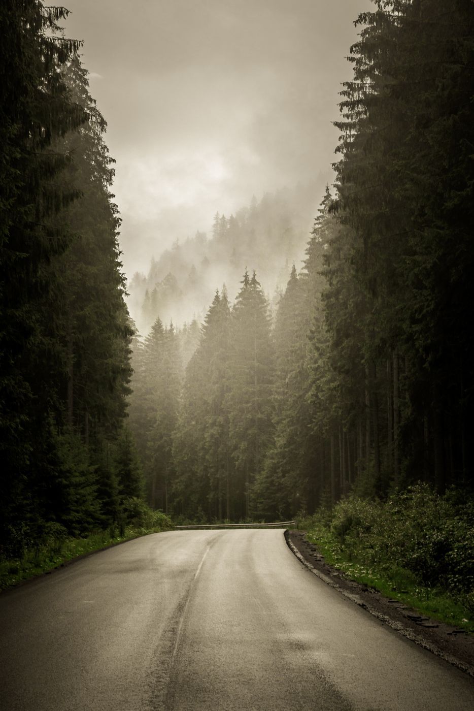 Foggy Road, Ukraine