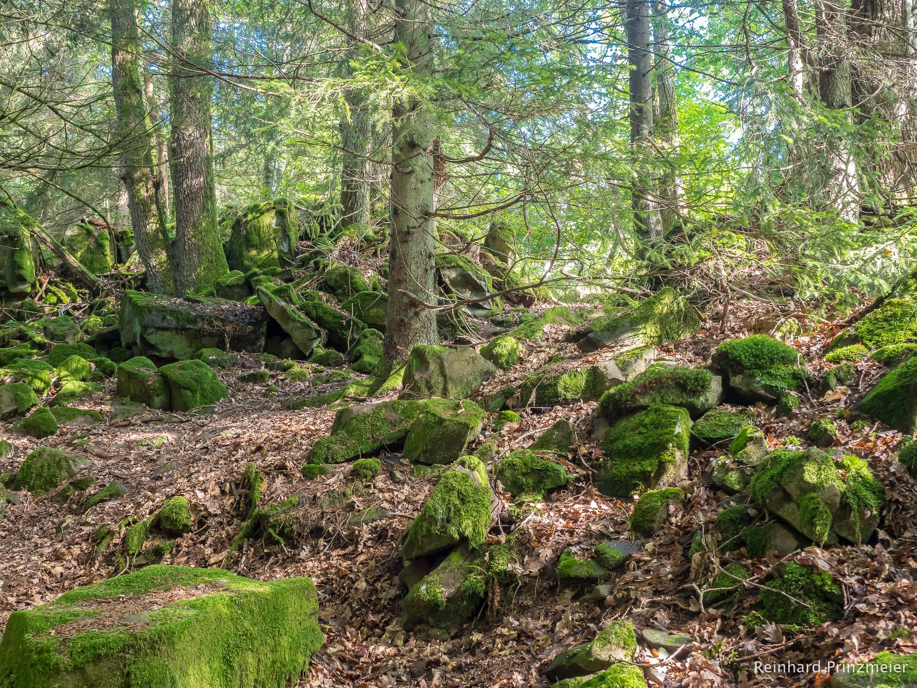 Halleberg, Sweden