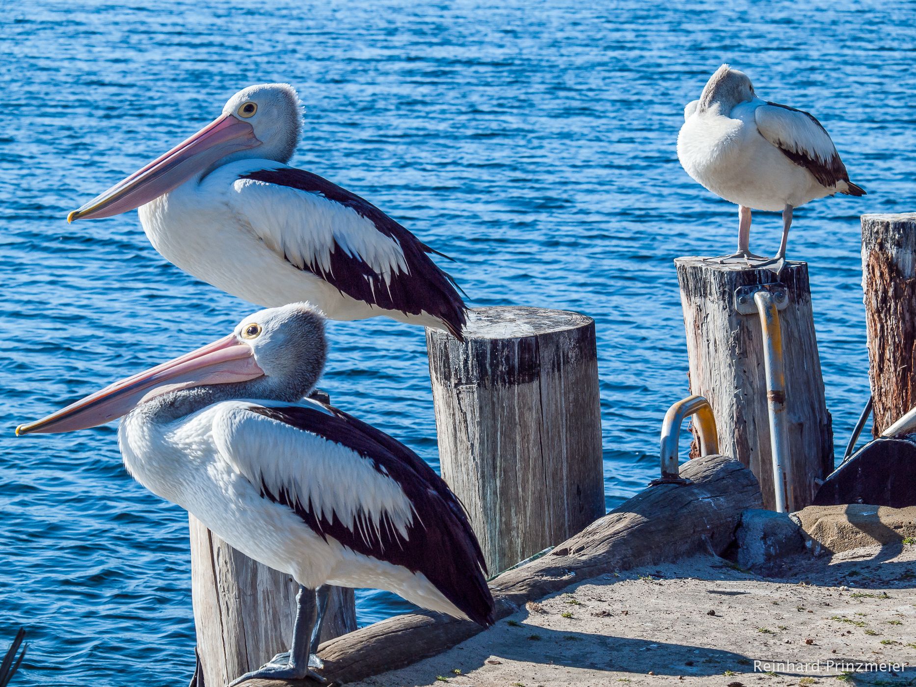 Hardy Inlet, Australia