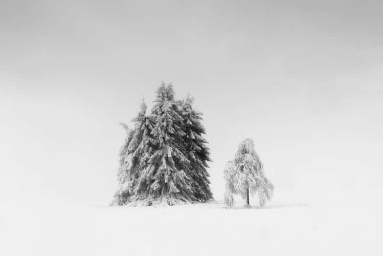Sauerland, Kahler Asten