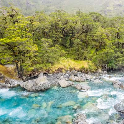 Hollyford River, New Zealand