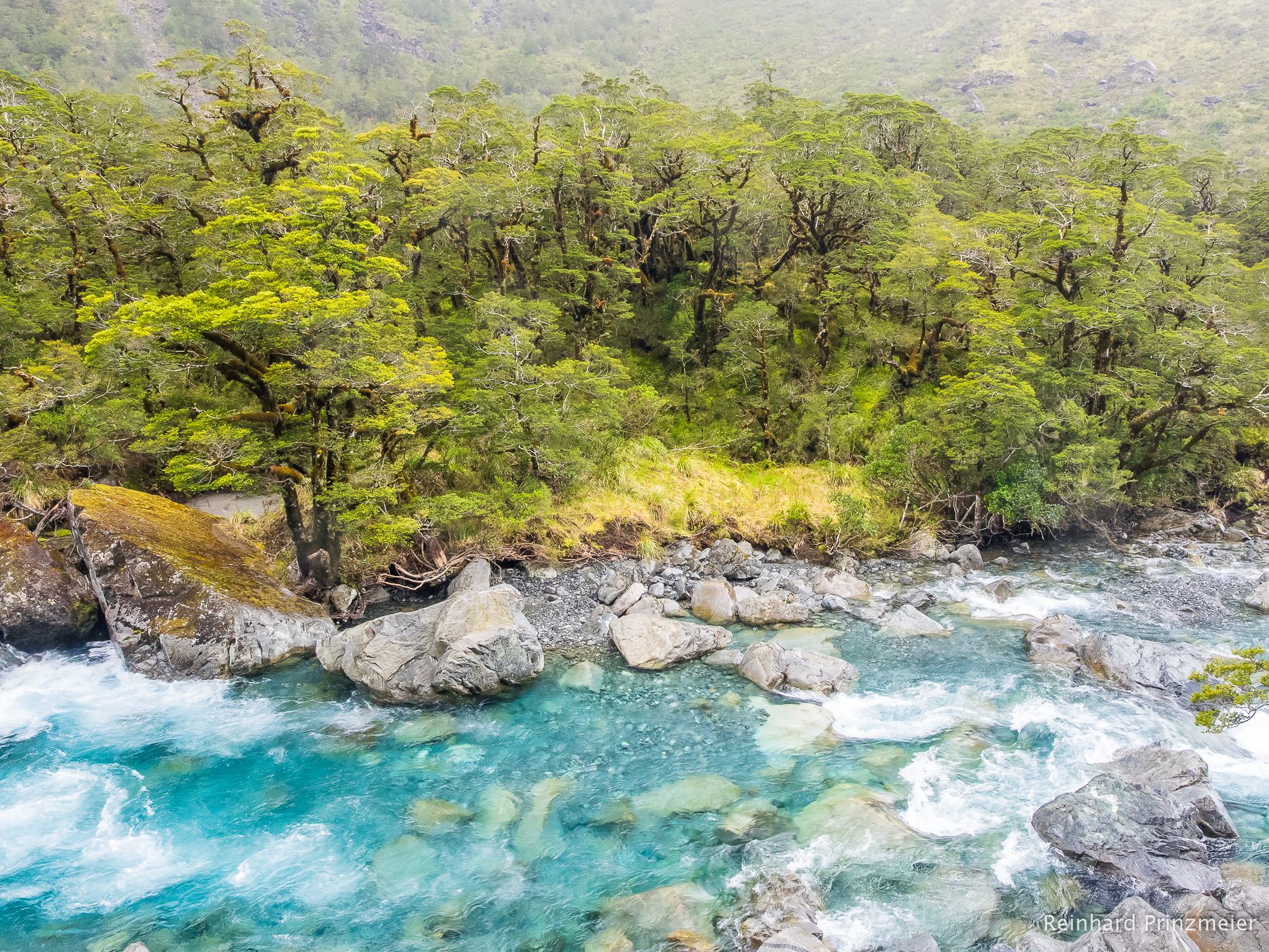 Hollyford River, New Zealand