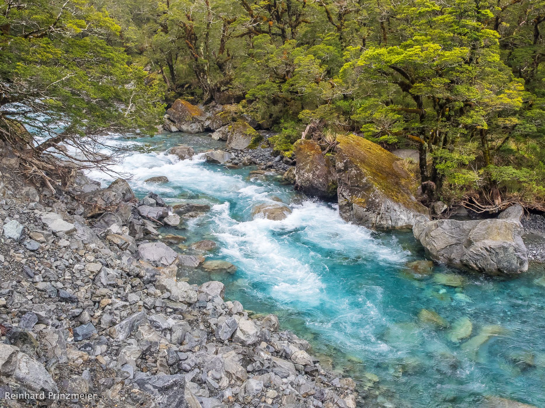 Hollyford River, New Zealand