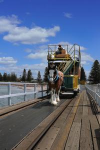 Horse Drawn Tram, Victor Harbor, South Australia