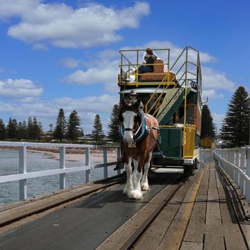 Horse Drawn Tram, Victor Harbor, South Australia, Australia