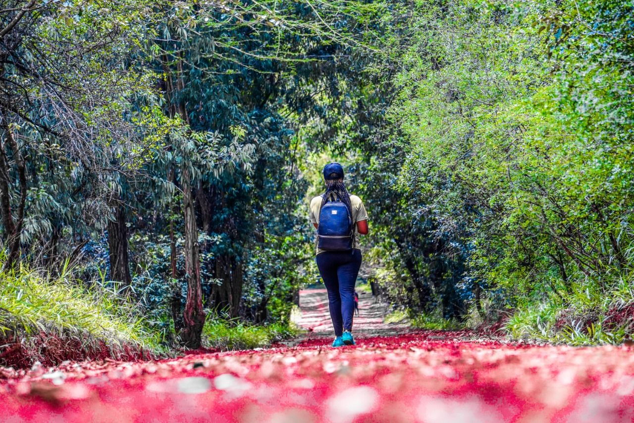 In the woods, Kenya