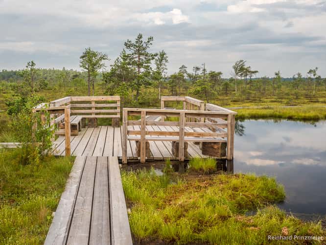 Ingatsu bog path