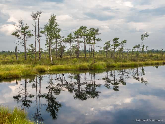 Ingatsu bog path
